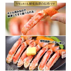 かに カニ 蟹 ズワイガニ ボイル ボイルずわ...の詳細画像2