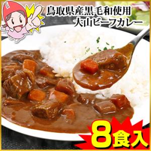 鳥取県産黒毛和牛使用　大山ビーフカレー8食セット
