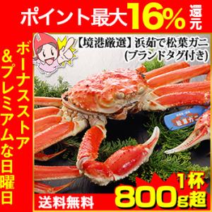 かに カニ 蟹 ズワイガニ 浜茹で松葉 松葉ガニ | 【境港厳選大型サイズ】浜茹で松葉ガニ 1杯80...