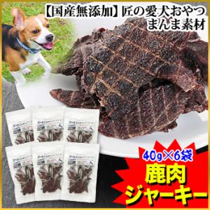 イティ iti イティドッグ ビーフ＆イール（うなぎ）ディナー 1kg（200g