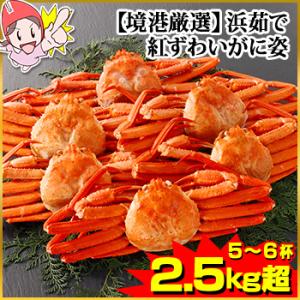 かに カニ 蟹 紅ズワイガニ 浜茹で紅ずわい | 【境港厳選】浜茹で紅ずわいがに姿5〜6杯（2.5k...