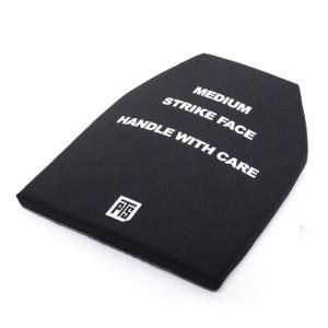 TEAM WENDY トレーニング用ダミープレート 2枚セット チームウェンディ TEAM WENDY リアルウェイトダミープレート 2枚組 重