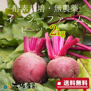 ビーツ　2kg　オーガニック　農薬無散布　酵素栽培　自社農場直送　大阪産