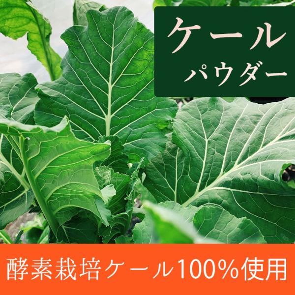 有機ケールパウダー 50g　野菜　パウダー　ケール　オーガニック　農薬無散布　無添加　有機JAS認証...