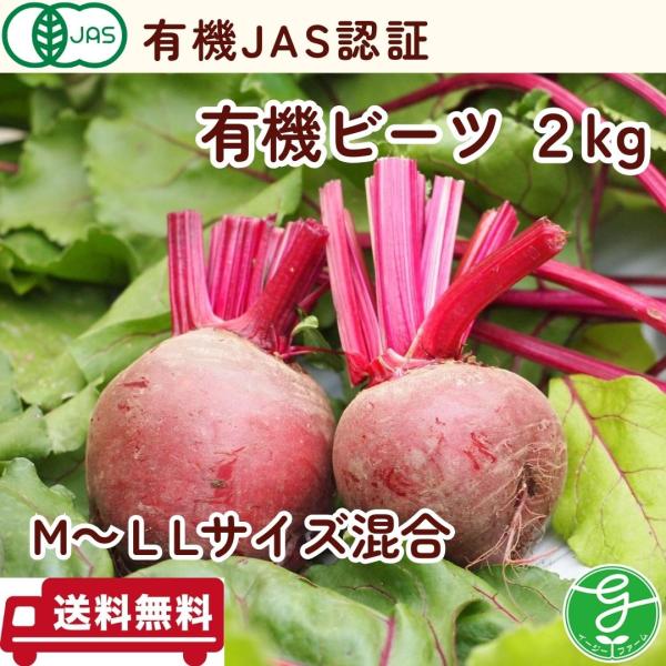 ビーツ 有機 2kg M〜LLサイズ混合 オーガニック 有機JAS認証 送料無料 酵素栽培 農場直送...