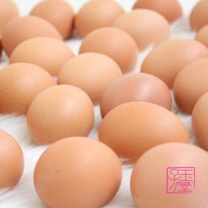 新鮮朝採れたまご 10kg 卵 たまご 鶏卵 赤玉M（約160個入）｜egg-kohei