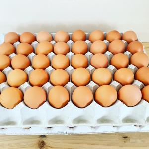 新鮮 こだわりたまご 10kg 卵 たまご 鶏...の詳細画像1