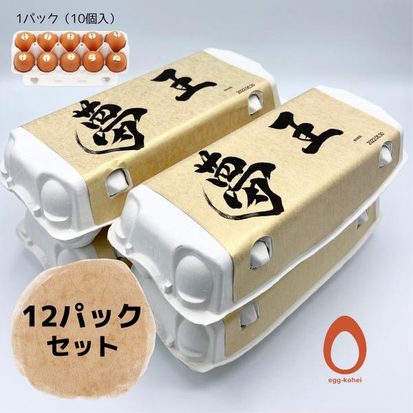 夢王 卵 たまご 12パックセット（1パック10個入） 日本一の卵 鶏卵 【 たまごかけご飯 祭り３...