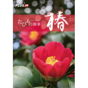 旅行カタログギフト Jtb たびもの撰華 椿 椿 旅行券 出産内祝い 結婚内祝い 快気内祝いから 各種お祝い 引出物 香典返しまで ギフト専門店ならではの無料サービス充実 Jtm113 旅行カタログギフト ギフト券 体験 送料無料 温泉旅行 体験 Jtm113 E Giftcenter 激安大