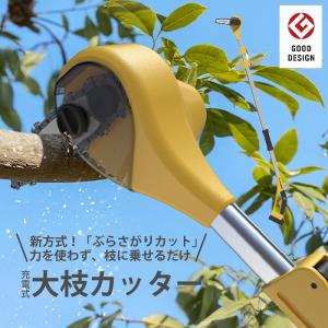 充電式 高枝切りチェーンソー
