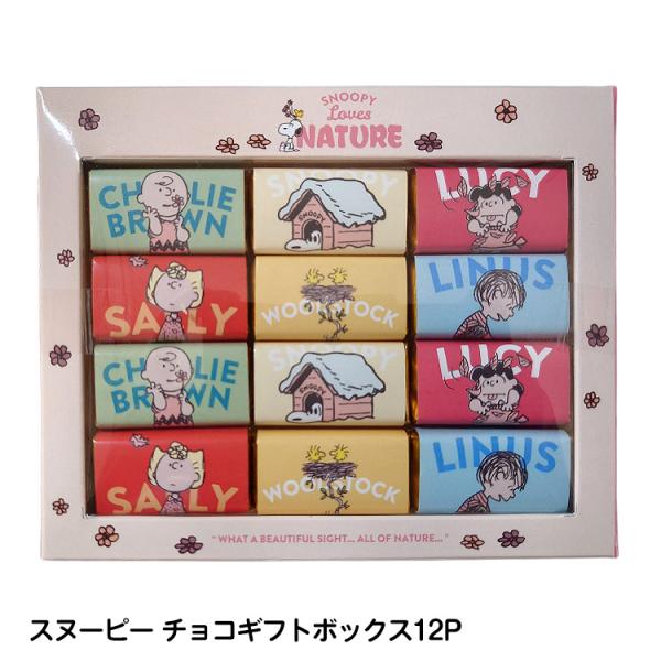 ホワイトデー チョコ お返し おもしろ キャラクター スヌーピー チョコギフトボックス12P