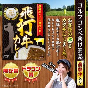 飛打牛(飛騨牛)カレー(ゴルフコンペ 景品 ド...の詳細画像1