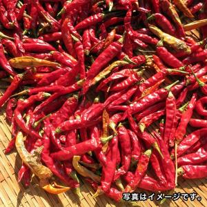 唐辛子 調味料 本辛 かけるだけでピリ辛 辛いの詳細画像4