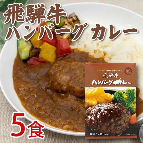 飛騨牛 ハンバーグカレー 5食セット レトルトカレー まとめ買い インスタント