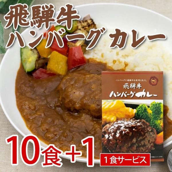 飛騨牛 ハンバーグカレー 10食セット＋１食サービス レトルトカレー まとめ買い インスタント