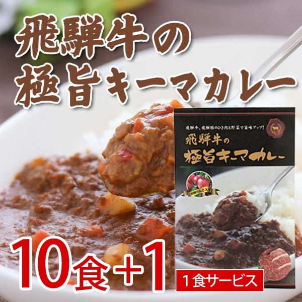 飛騨牛 極旨キーマカレー 10食セット＋１食サービス レトルトカレー まとめ買い インスタント
