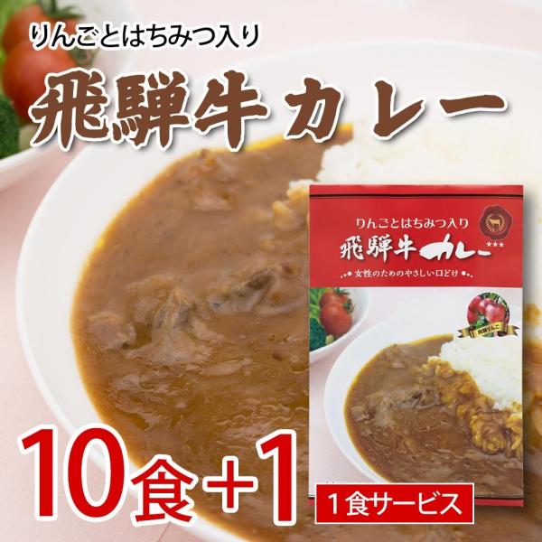 飛騨牛カレー りんごとはちみつ入り 10食セット＋１食サービス レトルトカレー まとめ買い インスタ...