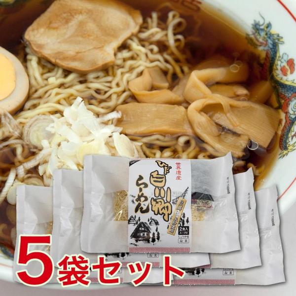 ラーメン ひだ 白川郷 らーめん ２食入りx５袋 中華そば 飛騨 お土産