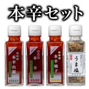 唐辛子調味料　本辛　４種セット