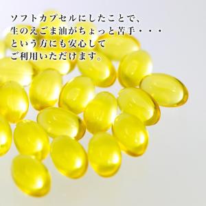 オメガ3 えごま油 国産 サプリメント 「飛騨...の詳細画像4