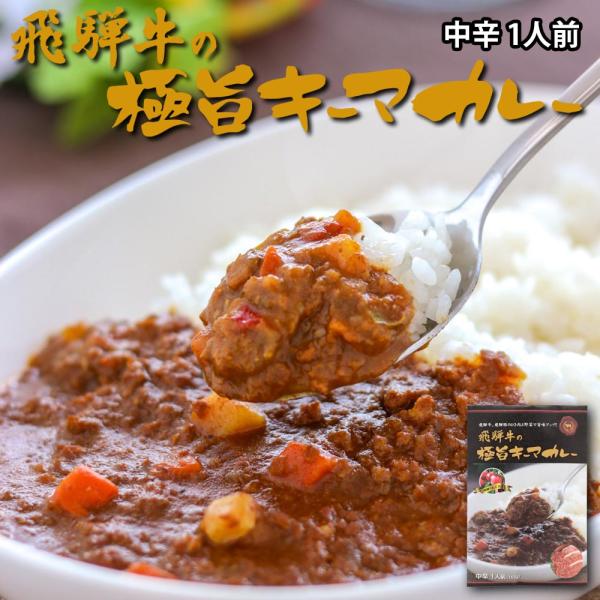 飛騨牛カレー 飛騨牛の極旨カレー 袋入り キーマカレー レトルトカレー インスタント