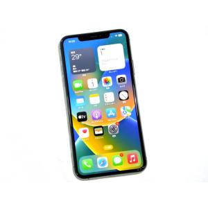 Cランク品（中古並品）IMEIチェック＝docomo判定結果：○iPhone 11 Pro Max 256GB SIMフリー [スペースグレイ]｜egqtc51401