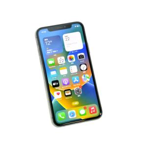 Dランク品（中古難有）IMEIチェック＝docomo判定結果：○iPhone XS 256GB SI...