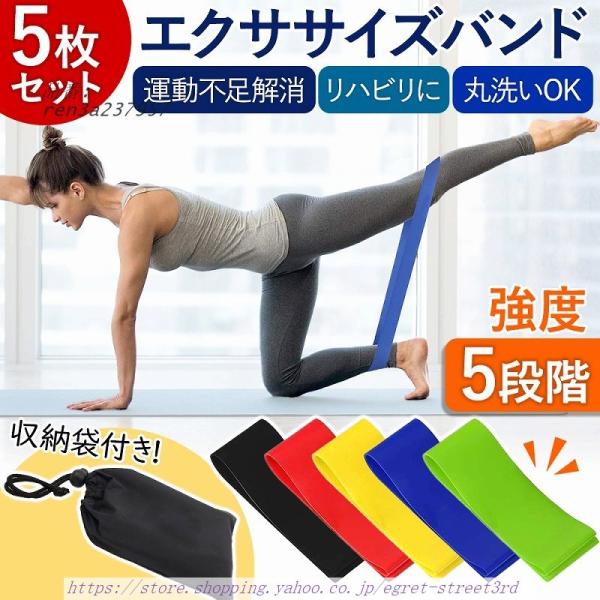 エクササイズバンド 5種セット 収納袋 ゴムバンド チューブ ヨガ ストレッチ リハビリ ダイエット...