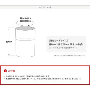 IC専用 リフト券入れ リストパスケース チケ...の詳細画像4