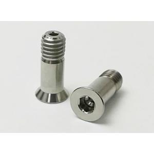 EGWORKS　ULTRA-Ti　高強度64チタンボルト　ディレーラーケージ用　2本セット