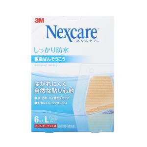 6枚 ネクスケア Lサイズ 一般医療機器 本日楽天ポイント5倍相当