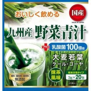 ヘルシーパートナー　九州産野菜青汁＋乳酸菌　3G×20包｜ehac