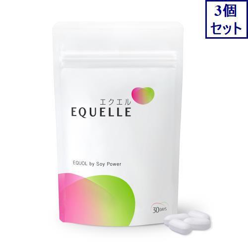 大塚製薬　エクエル　パウチ　120粒×3袋セット