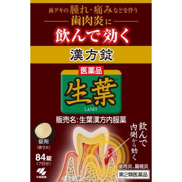 【第2類医薬品】生葉　漢方内服薬　84錠　あすつく　送料無料