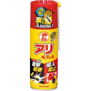 大日本除虫菊　アリキンチョールＶ　300ML｜ehac