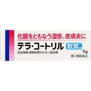 5個セット　【指定第2類医薬品】テラ・コートリル軟膏a　6g 　　あすつく　送料無料