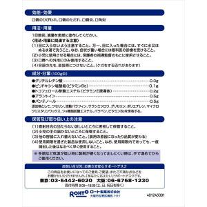 メンソレータムヒビプロLP 6g [第3類医薬...の詳細画像2
