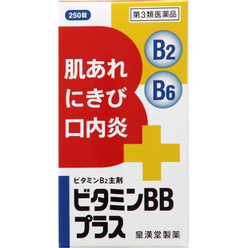 [第3類医薬品]　ビタミンBBプラス「クニヒロ」　250錠　送料無料