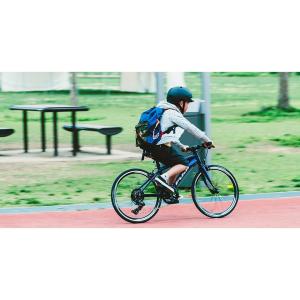 FUJI(フジ) ACE20(エース20) ジ...の詳細画像3