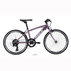 FUJI(フジ) ACE20(エース20) ジ...の詳細画像2