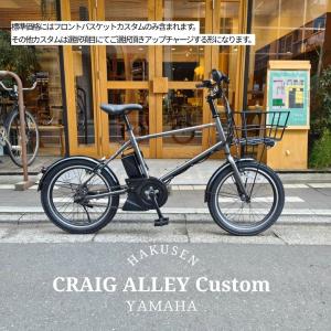 PAS CRAIG ALLEY(パスクレイグアリー)【アルミ製軽量バスケット搭載】フルカスタム対応　YAMAHA(ヤマハ) BMX電動アシスト自転車・E-bike(イーバイク)