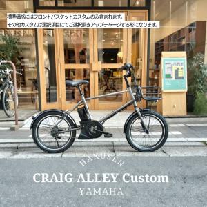 PAS CRAIG ALLEY(パスクレイグアリー)【個性的なアルミパイプバスケット搭載】フルカスタム対応　YAMAHA(ヤマハ) BMX電動アシスト自転車・E-bike(イーバイク)