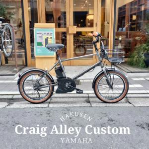個性的なアルミパイプバスケット搭載厳選カスタム PAS CRAIG ALLEY(パスクレイグアリー)　YAMAHA(ヤマハ) BMX電動アシスト自転車・E-bike　 送料プランA