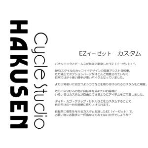 フルカスタム EZ(イーゼット) BE-FZ0...の詳細画像1
