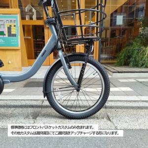 PAS CARIGO(パス キャリゴー)【大容...の詳細画像1