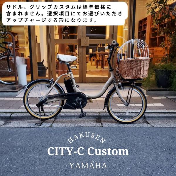ペット乗せドギーバスケット/フルカスタム対応[PAS CITY C(パスシティC)]（PA20CC）...