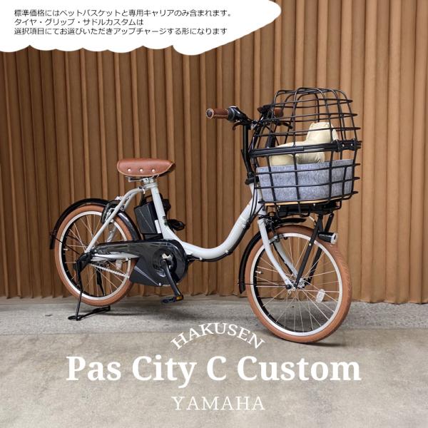 ペット乗せATRAN DUO搭載/フルカスタム [PAS CITY C(パスシティC)]（PA20C...