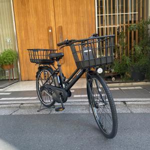 特価(予告なく終了) 前後にプラパイプバスケッ...の詳細画像1