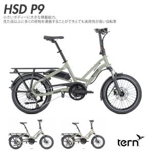 TERN ターン 2025年モデル VEKTRON S10 ヴェクトロンS10 電動 