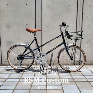 CarryMe キャリーミー ソリッドタイヤ仕様 ブルー 折りたたみ